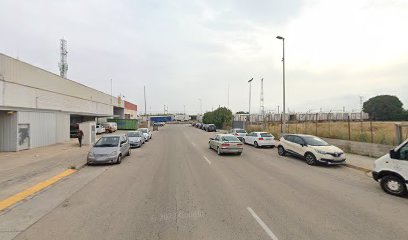 Padelindorgandia en Gandia