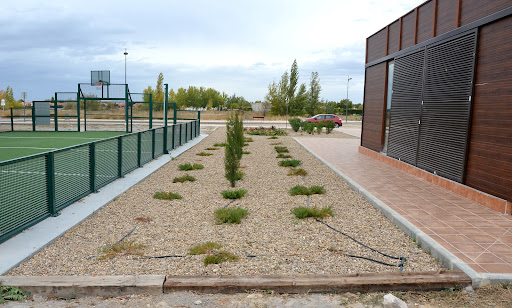 Pistas municipales de pádel en Aldeaseca de la Frontera