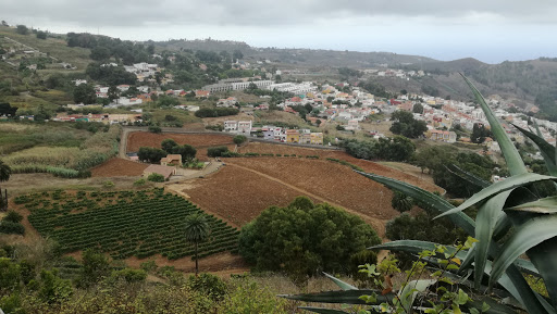 Casa Del Deporte en Arucas