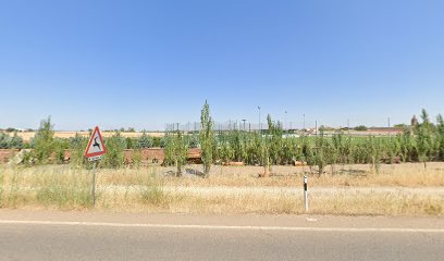 Pistas de padel en Bienvenida