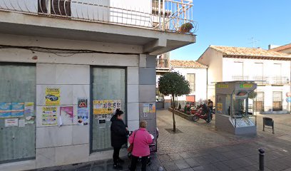 Padelsport La Zubia en La Zubia