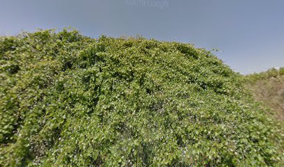 Pista de padel en Otos