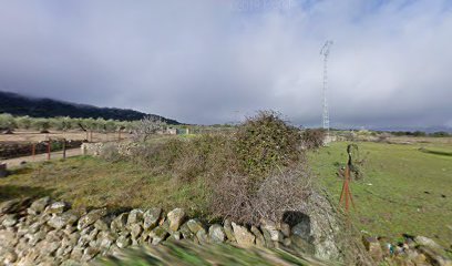 Pista de pádel en Torre de Santa María