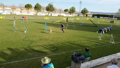 Pabellón Polideportivo Municipal en Calamocha