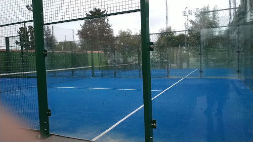 Pádel Carranque en Málaga