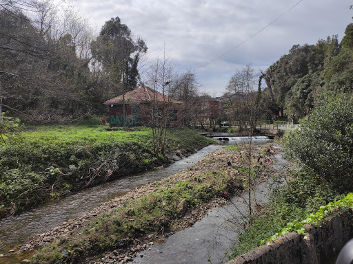 Polideportivo Anita en Mioño / Castro Urdiales